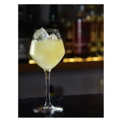 BARTENDERENS GRUNDBOG