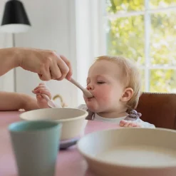 BIBS SPOON SET | BLUSH