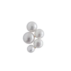 BLOOM BERRIES ØRERING 1 STK. | FORGYLDT