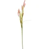 BRISTLEGRASS STILK | ROSE