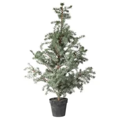 CEDERTRÆ M/POTTE 150 CM