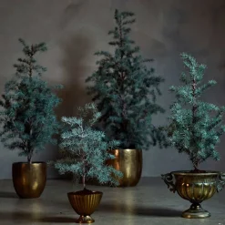 CEDERTRÆ M/POTTE 60 CM