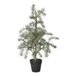 CEDERTRÆ M/POTTE 80 CM