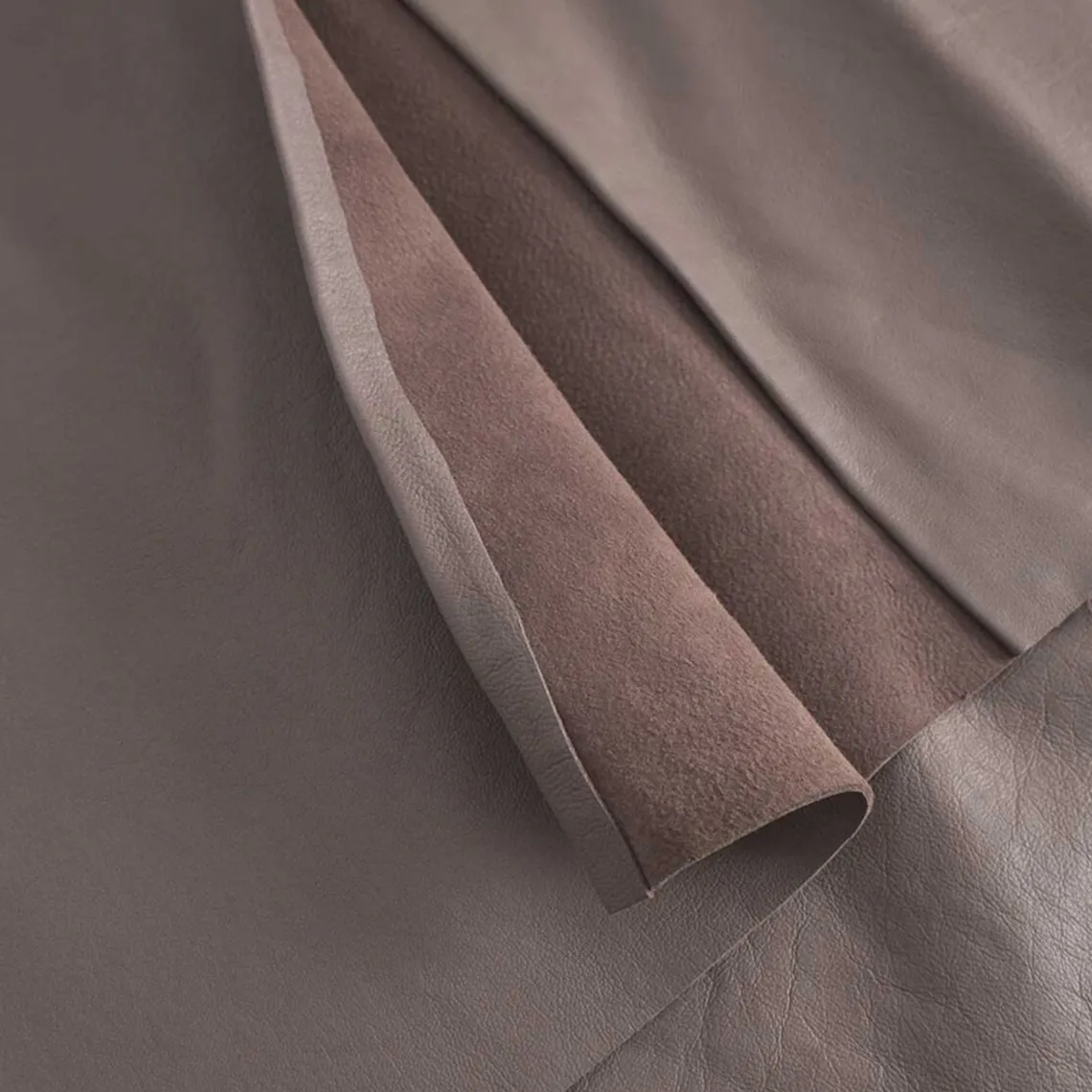 ELVIRA NEDERDEL | LATTE