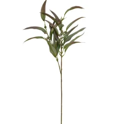 EUKALYPTUS STILK 70 CM