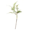 EUKALYPTUS STILK 38 CM