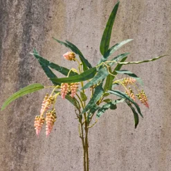 EUKALYPTUS STILK | GREEN