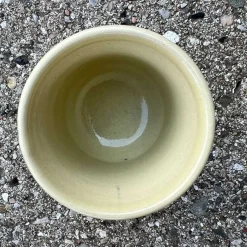 ÆGGEBÆGER | FIRKLØVER/GUL