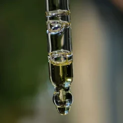 GLOW ANSIGTSOLIE - 30 ML