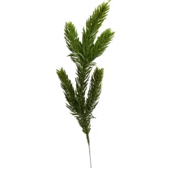 GRANGREN 25 CM | GRØN