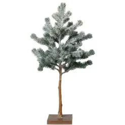 GRANTRÆ OPSTAMMET M/SNE H48CM