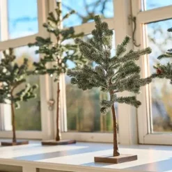 GRANTRÆ OPSTAMMET M/SNE H48CM