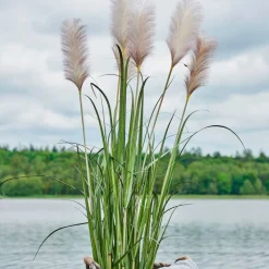 GRÆS M/5 HOVEDER 115 CM - GRØN