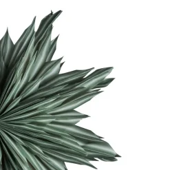 HELENA 44 JULESTJERNE | GREEN