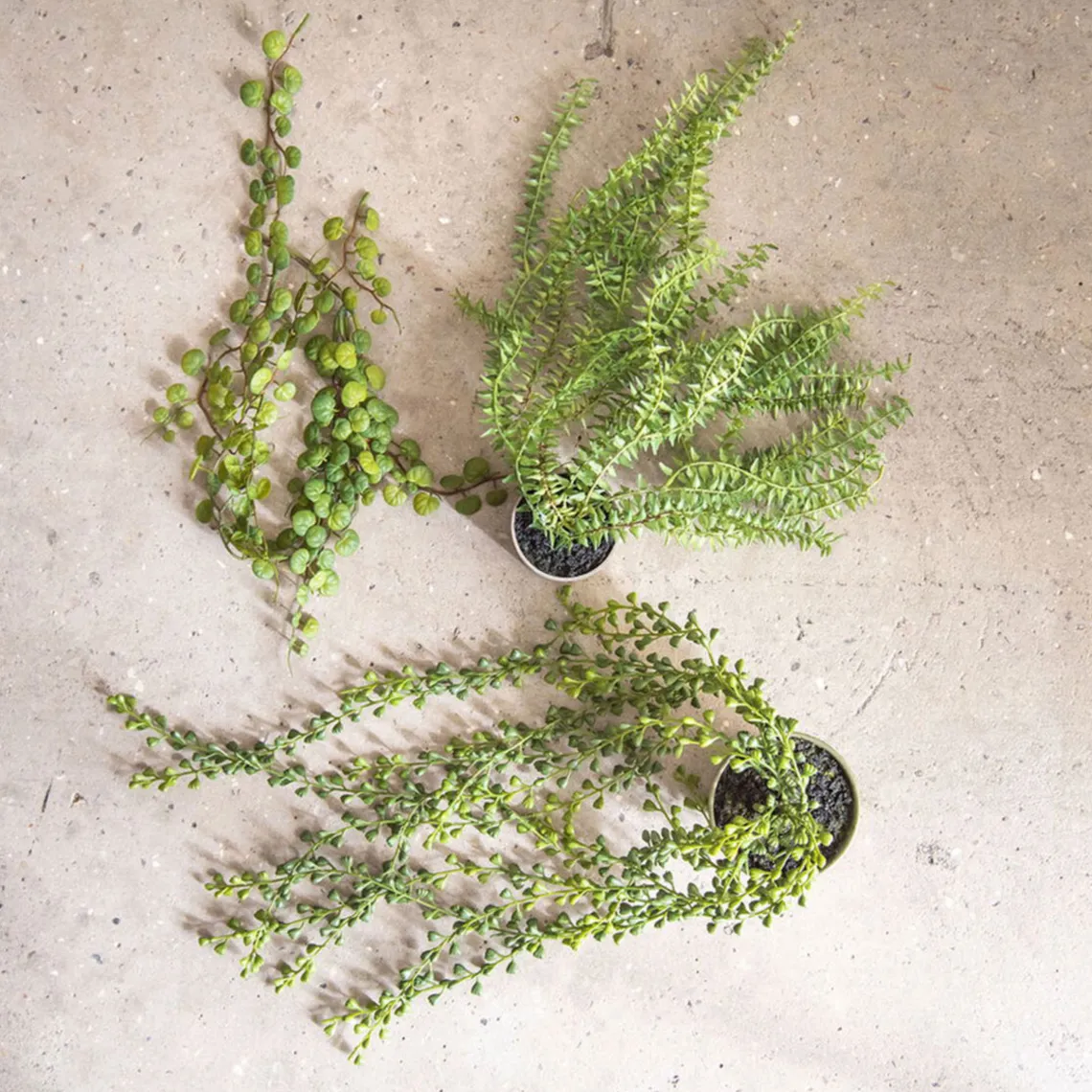 HÆNGEPLANTE 58 CM - GRØN