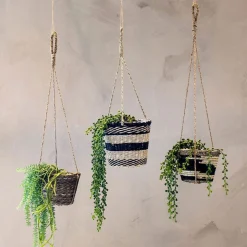 HÆNGEPLANTE 58 CM - GRØN