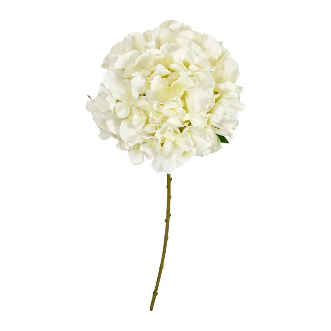 HORTENSIA STILK | HVID