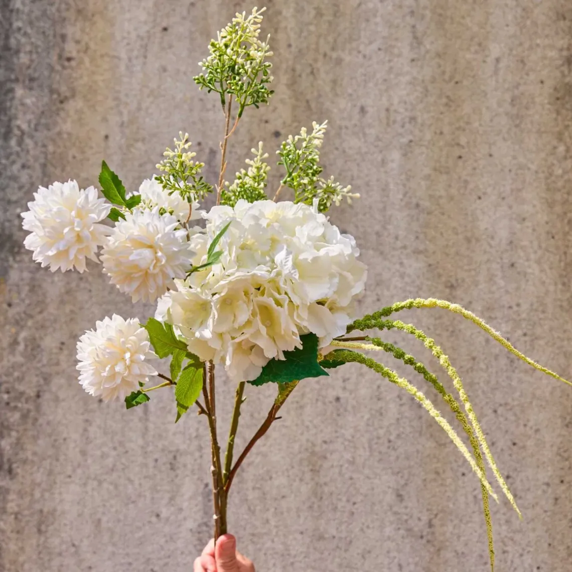 HORTENSIA STILK | HVID