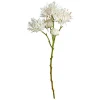 KRYSANTEMUM 55CM | WHITE