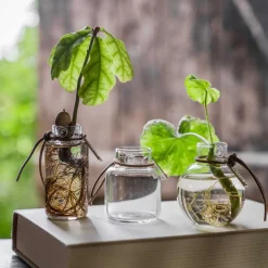 LILLE GLASVASE CA. 7 CM | HØJ