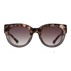 LILLY SOLBRILLER | COQUINA