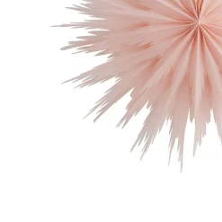 LIZ 50 JULESTJERNE | PINK