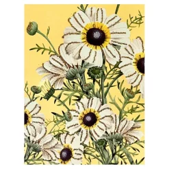 LYKØNSKNINGSKORT 13X9 CM | FLOS SOMNIUM