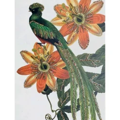 LYKØNSKNINGSKORT 13X9 CM | HOPE