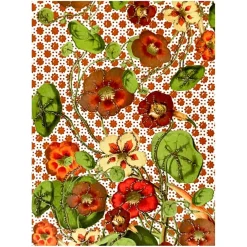 LYKØNSKNINGSKORT 13X9 CM | TROPAEOLUM