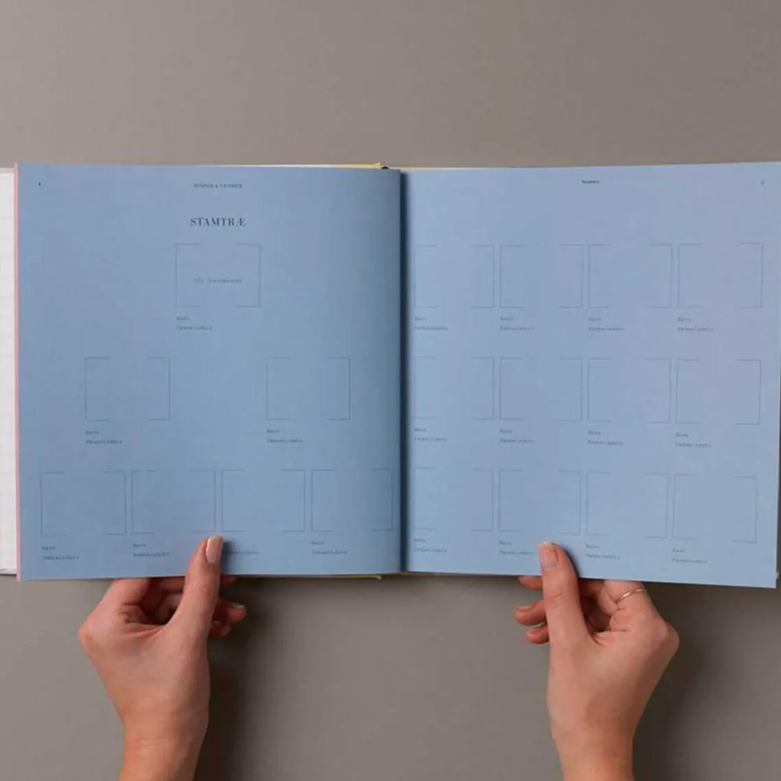 MINDER OG GEMMER | FARFAR