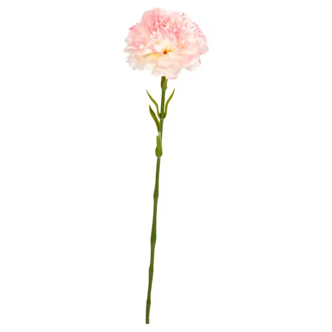 NELLIKE STILK | ROSE