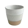 ORIGINAL CUP | LIMESTONE CURRY