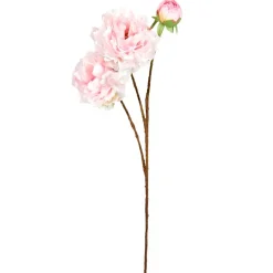 PÆON STILK | LIGHT ROSE