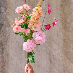 PÆON STILK | LIGHT ROSE