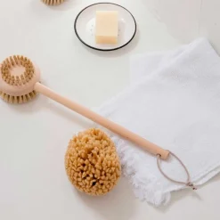 RYGBØRSTE I BEECHWOOD