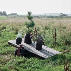 SAI KRUKKE 34 CM - RUST