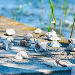 SKALLER I POSE - GRÅ