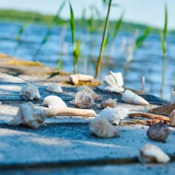 SKALLER I POSE - NATUR