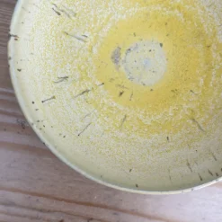 SKÅL NO. 4 | HØRGUL