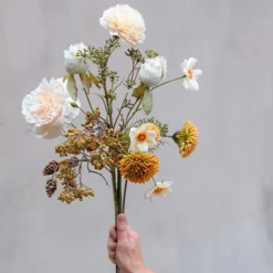 STOLT KAVALER STILK | HVID