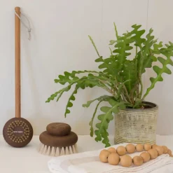 STOR KROPS BØRSTE ASHWOOD