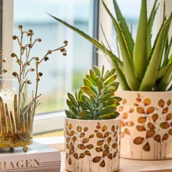 SUKKULENT I POTTE 14X20 CM