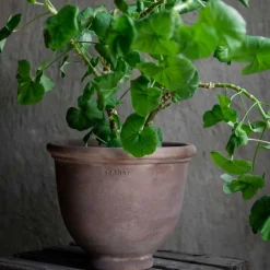 TERRACOTTA KRUKKE 16X14 CM