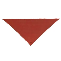 TRIANGLE SOLID LOGO | BRICK RED