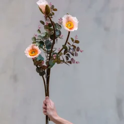 VALMUE STILK | SOFT PINK