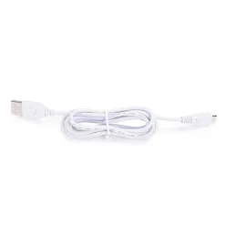 VÅGELAMPE - SKILDPADDE